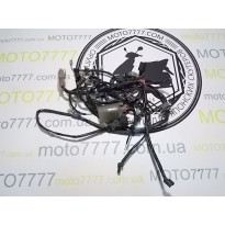 Проводка центральная Honda Dio 56