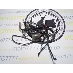 Проводка центральная Honda Dio 56