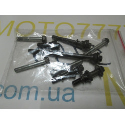 Болты крышки вариатора Honda Giorno AF-24