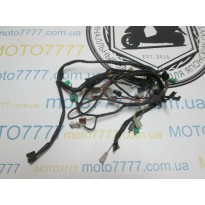 Центральная проводка Suzuki Verde