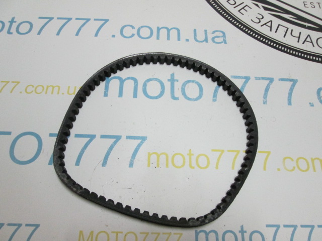 Ремінь Yamaha Champ