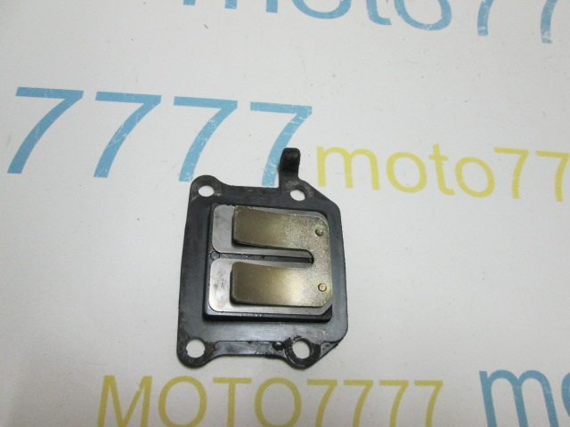 Лепестки Yamaha Champ