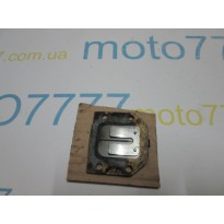 Лепестки Yamaha Mint