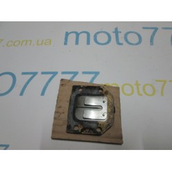 Лепестки Yamaha Mint