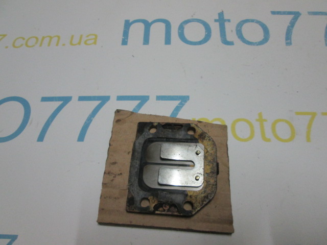 Пелюстки Yamaha Mint