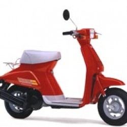 Suzuki Bara